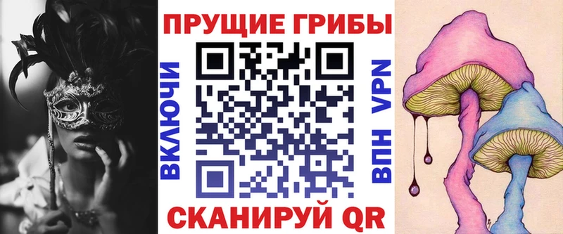 Псилоцибиновые грибы Psilocybine cubensis  hydra вход  Ижевск 