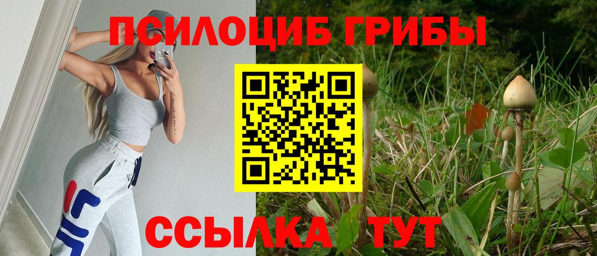 Галлюциногенные грибы прущие грибы Ижевск